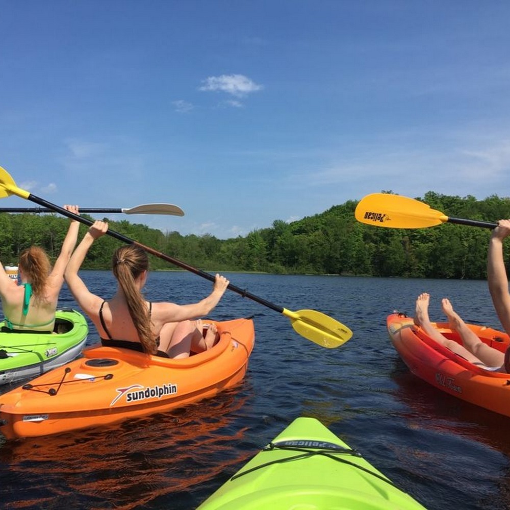 Meet your Posher, Krisann